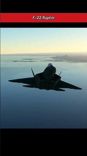 F-22 Raptor Flyover Toronto Canada #aviation #f22raptor #shorts