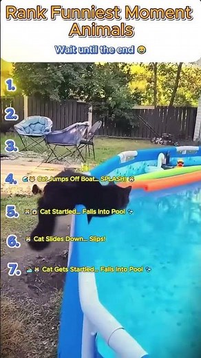 Epic Cat Fails Ranking 😼 You Can’t Miss!