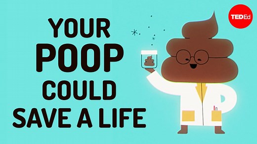 While it might seem unwise to consume feces, new research suggests that taking poop into the body in other ways might actually benefit our health. So, how does this work? Dig into the science of fecal microbial transplants: | TED-Ed