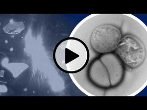 Life Forms Can Planet Hop