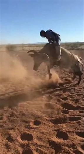 DESERT SNAP KICK ☀️🐂