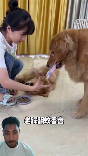 Everyone told me to change the slippers first. What's the difference after changing them?