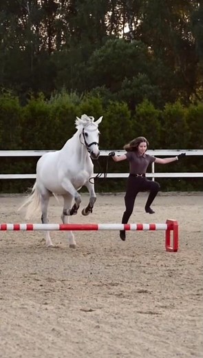 Show Jumping Training🏇 – Master the Art of Precision & Power | Equestrian Skills 2025 #showjumping