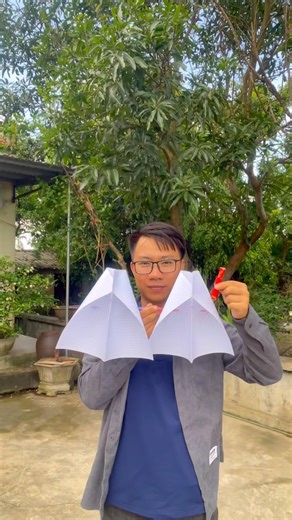 Can a double-leaf paper kite without a frame fly? #shorts #bvc
