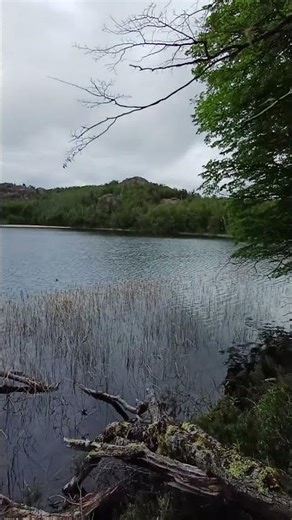 El desafío de salir aunque el PRONOSTICO sea GRIS #primavera 2025 #trekking #short #laguna HUEMUL