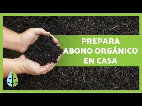How to make homemade organic fertilizer step by step 🌱 + Best homemade fertilizers 🍌