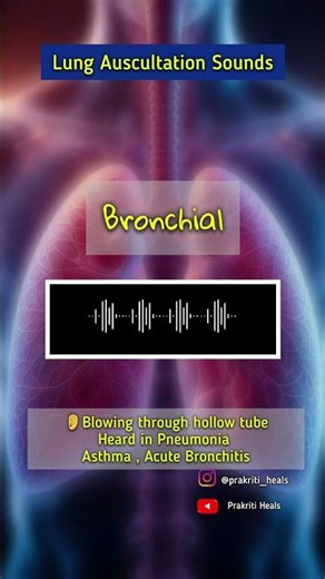 Lung Auscultation Sounds for Every Medico!#bhms#lungsausculatsionsounds#medical