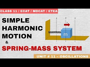S.H.M and Spring Mass System | Unit # 11 Oscillations |Class 11 Physics | Talha's Physics Academy