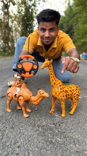 Rc Camel And Remote Control Giraffe Unboxing dise