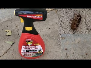Raid Max Cockroach Perimeter Protectoin Spray Auto Trigger works good.