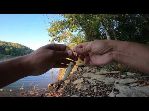 How I Saved My $25 Lure With a Stick and This Knot!