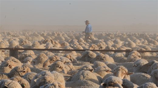 Study reveals impact of 2023-24 on livestock producer balance sheets