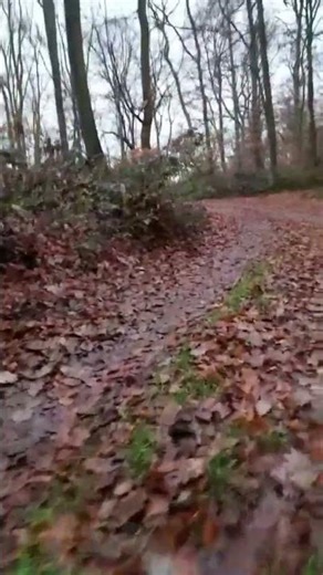 Когда душа выходит из тела