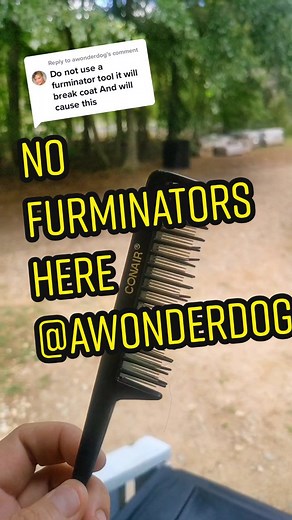 The Truth About Furminator: Dog Grooming Tips and Myths Debunked