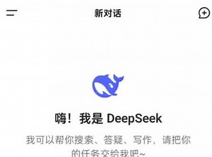 seepseek训练方法