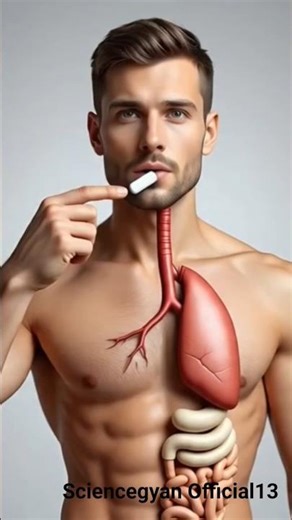 This Is How a Medicine Tablet Works Inside Your Body 😱#facts #healthfacts