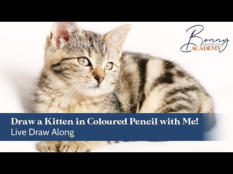 Live Draw Along | Drawing a Kitten in Coloured Pencils
