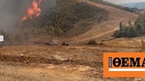 Ο ρόλος των αντιπυρικών ζωνών στην κατάσβεση των πυρκαγιών - Δείτε βίντεο