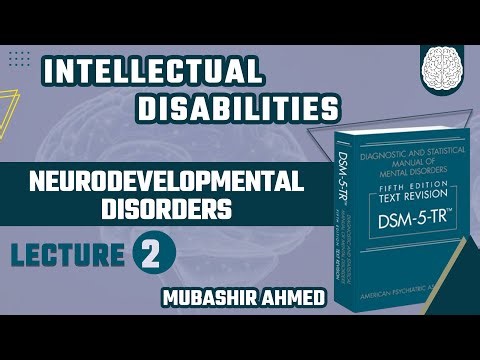 Intellectual Disabilities | Neurodevelopmental Disorders | DSM-5-TR | Urdu/Hindi