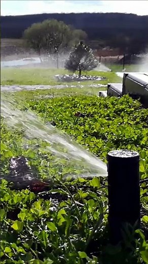 Hunter PGJ Rotor. Automatic Lawn Irrigation System