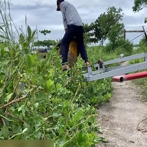 1.2M views · 16K reactions | WAVE RUNNER 1991 Full Restoration _ Restored YAMAHA JETSKI | Jayleen Baker | Facebook