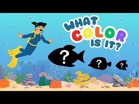 What Color is it? | Fish Color Song | Under the Sea for Preschool