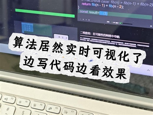 算法居然实时可视化了 边写代码边看效果
