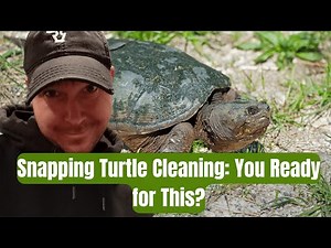 How I Clean a Giant Snapping Turtle Step by Step!