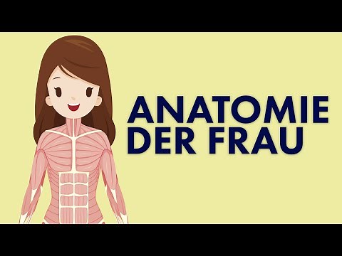 Die ANATOMIE der Frau | HEISSKALT INFORMIERT