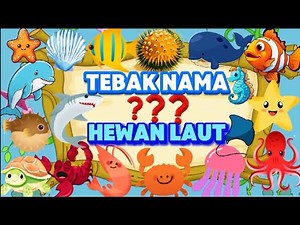 Tebak-tebakan Nama Hewan Laut | Mengenal Hewan Laut | Video Edukasi untuk Anak-anak