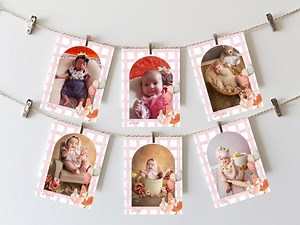 Chicken Photo Banner, Editable Pink One Cute Chick Birthday Photo Banner, Chicken Party Decor, Chicken Photo Milestone Banner BD10 - Etsy