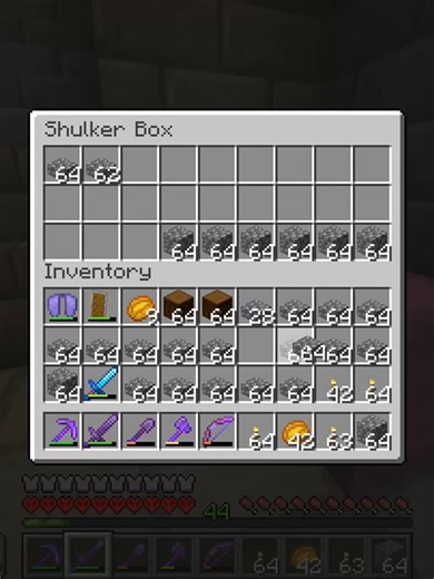 Surviving 300 Days in Hardcore Minecraft Challenge