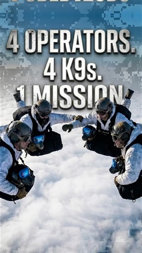 4 K9s High-Altitude Alaska Freefall! ❄️🐕 #k9 #alaska #skydiving