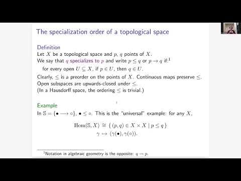 Reid Barton, Directed aspects of condensed type theory