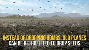 20K views · 197 reactions | Seed Bombs is Aerial reforestation method, in which Seeds are enclosed in BIODEGRADABLE tree cone, designed to bury in the soil like cultivation. It is potential tool to combat climate change. In order to mitigate climate change we need carbon sink and tree are important for carbon sequestration. | Journal of Environmental & Agricultural Sciences - JEAS | Facebook