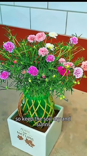 Epic Plant Arrangement Tutorial - Tum Any Pot Info a Mani Garden #DIYGarden #PlantArrangement
