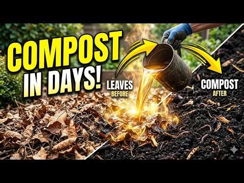 This “Secret Liquid” Melts Leaves Into Rich Compost FAST