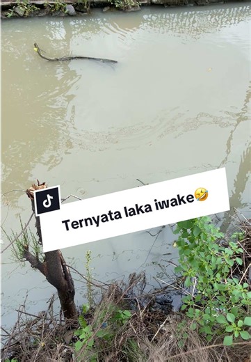 Mancing Keder: Brebes dan Info Pemancingan