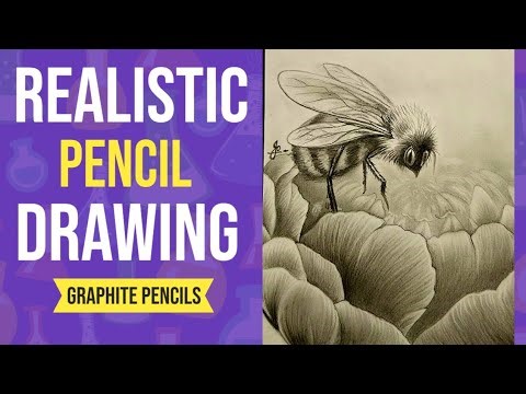 Realistic Pencil Sketch of a Bee on a Flower | Graphite Drawing Tutorial - timelapsed