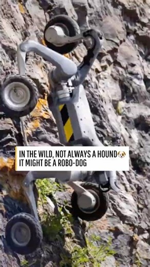 Unitree's new all-terrain robo-dog that can conquer the wild