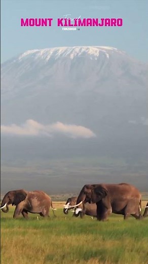 This Is the Most Stunning View of Mount Kilimanjaro 🌄