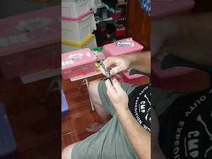 Pinkie pump Green Tree python neonate