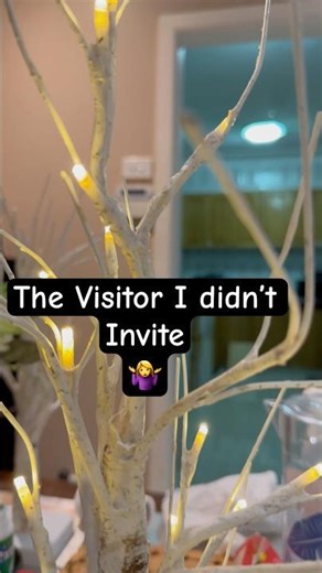 The Visitor I didn’t Invite 🤷‍♀️!