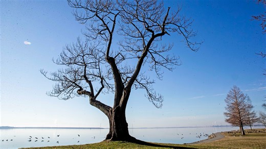 This Delaware town was named one of the 'most charming' small towns in the US by HGTV