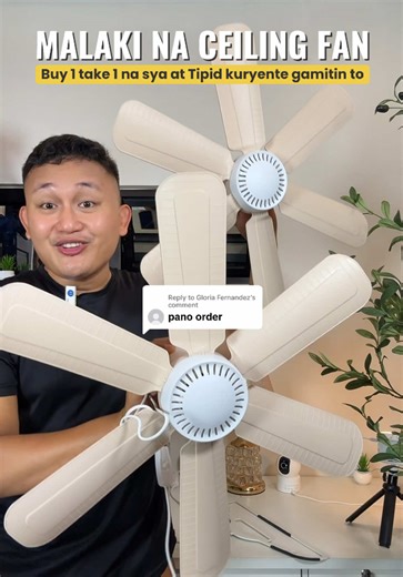 Massive Ceiling Fan Buy 1 Take 1 Offer