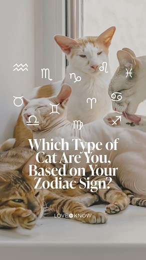 5.2K views · 66 reactions | Find out which cat breed fits your zodiac sign right meow  | LoveToKnow | Facebook