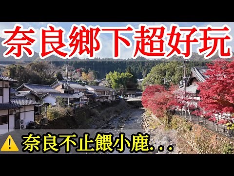 【日本旅遊】奈良鄉下超好玩，超多秘境人又少！2024年日本自由行・關西奈良旅遊攻略・賞楓・飛鳥・吉野山・奈良公園小鹿・近鐵觀光電車・近鐵電車周遊券・日本美食・奈良深度遊・日本旅行奈良景點・日本旅遊攻略