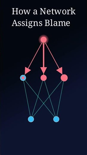 How a Neural Network Assigns Blame