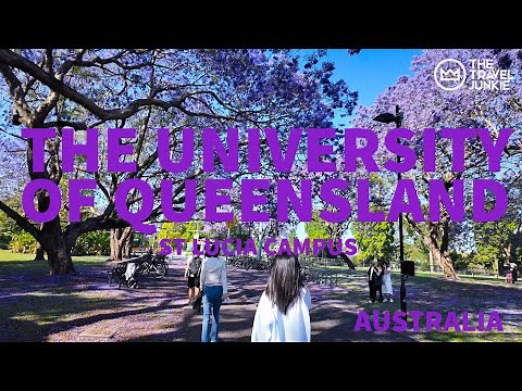 THE UNIVERSITY OF QUEENSLAND | ST LUCIA CAMPUS BRISBANE | RELAX JACARANDA BLOSSOMS WALK IN AUSTRALIA