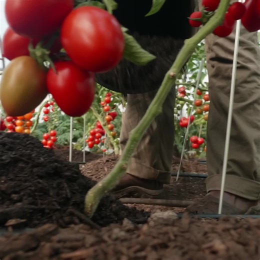 2.8K views · 21 reactions | This course is epic in breadth and knowledge. I took (another popular) online farm course, and the Neversink Course puts it to shame. Now I really know how to create a farm." -James, Farmer | Neversink Farm | Facebook